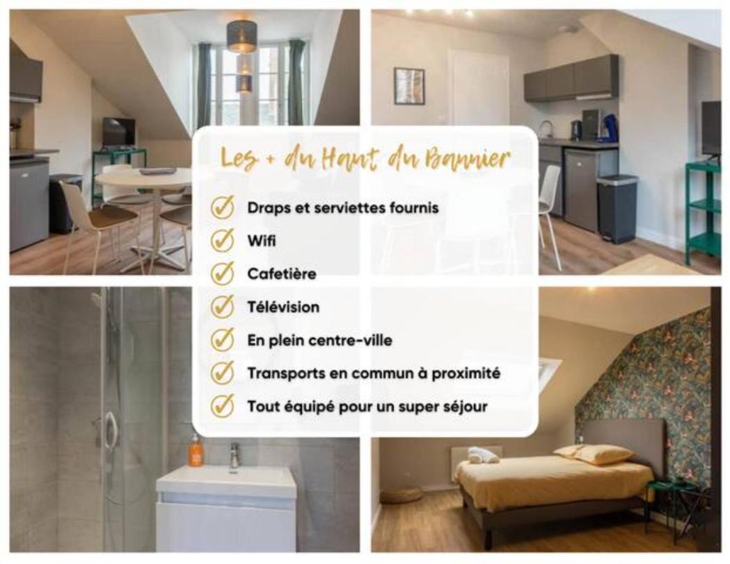 Apartamento Le Haut Du Bannier * T2 * Hyper Centre * Wifi * Orléans Exterior foto